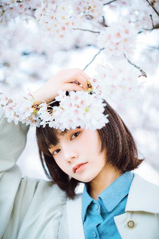 惊！西方37大但免费背后隐藏着什么秘密？